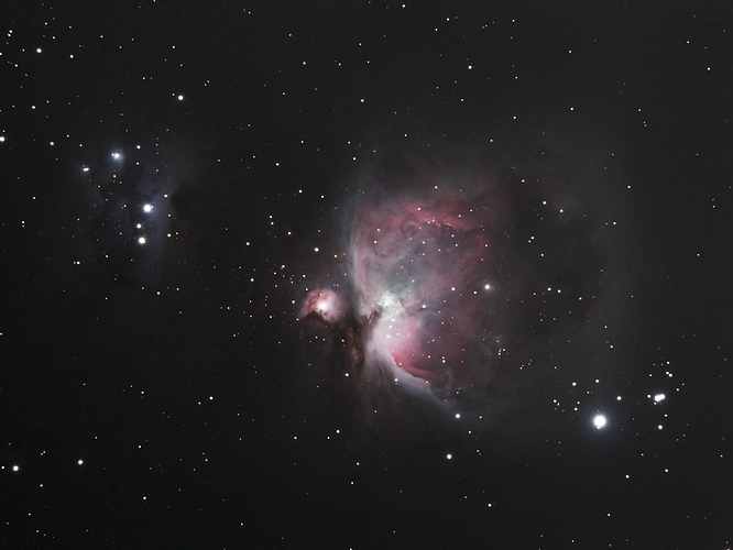 Orion Nebula