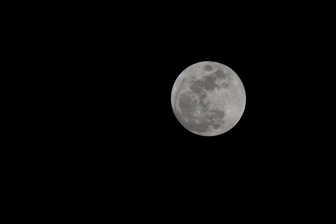 DSC_1285