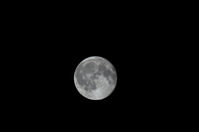 DSC_0010