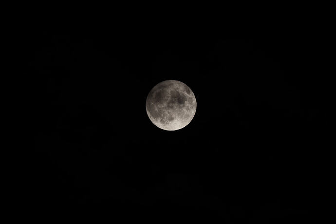 IMG_7225