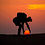 Jayanth_Srinivasan Jayanth_Srinivasan